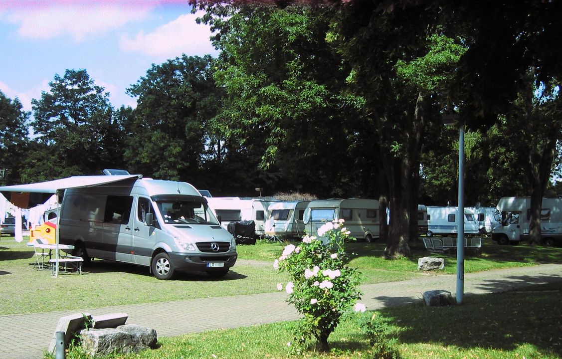 Ein Camping-Van auf einer Wiese eines Campingplatzes