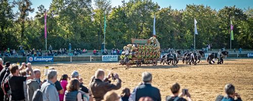 Ein Pferdegespann zieht einen Bier-Anhänger durch das Reitstadion beim Landwirtschaftlichen Hauptfest 2018